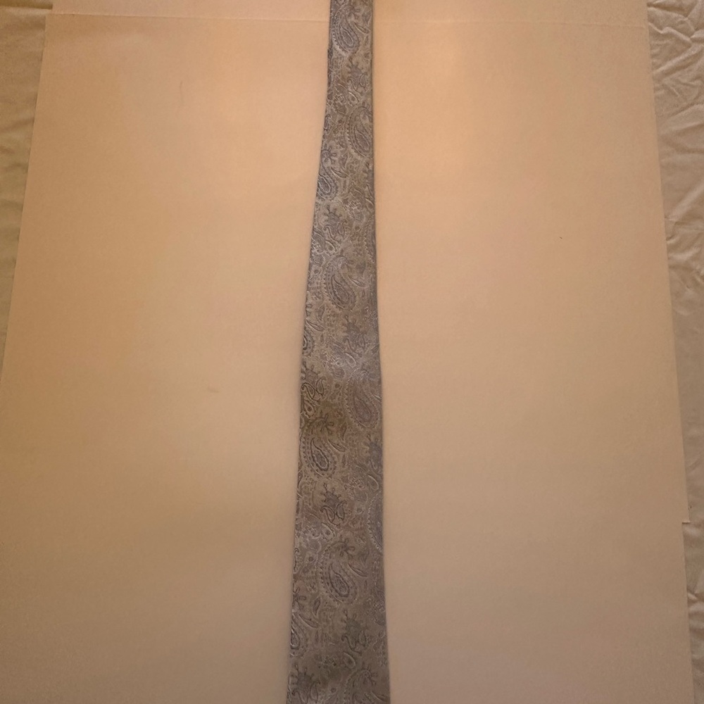 Egara Blue and Silver Paisley Necktie